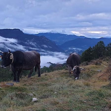 Precioso Apartamento En El Pirineo Catalan La Pobla de Lillet Zewnętrze zdjęcie
