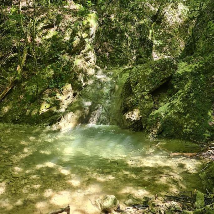 Precioso Apartamento En El Pirineo Catalan La Pobla de Lillet Zewnętrze zdjęcie